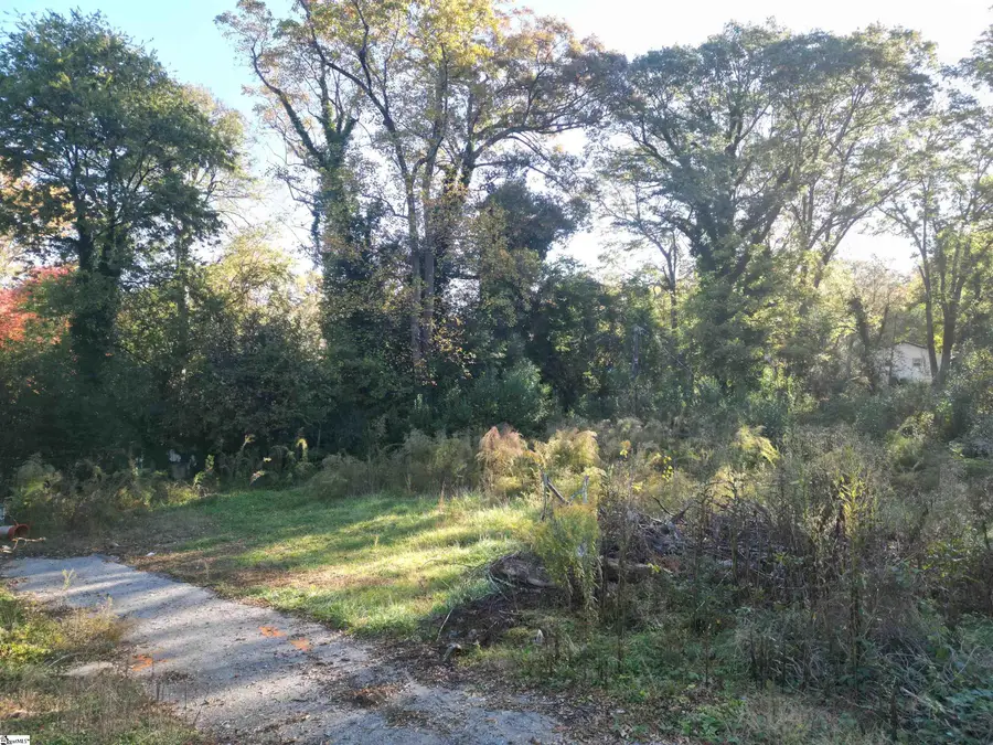 220 Rookard Court, Spartanburg, SC 29303 - #3