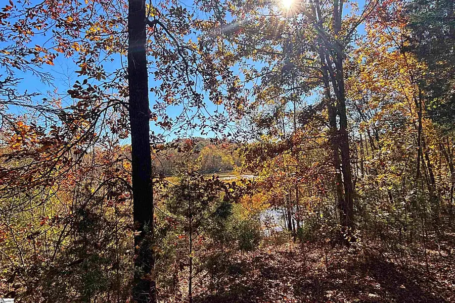 45 Deer Meadows Road, Laurens, SC 29360 - #3