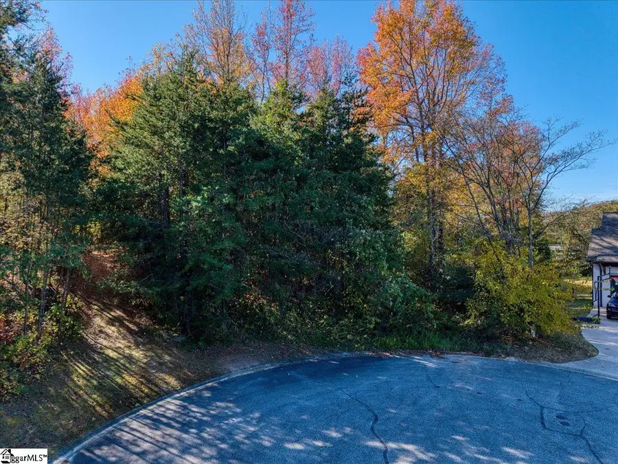 7 Grenoble Court, Greenville, SC 29609 - #3