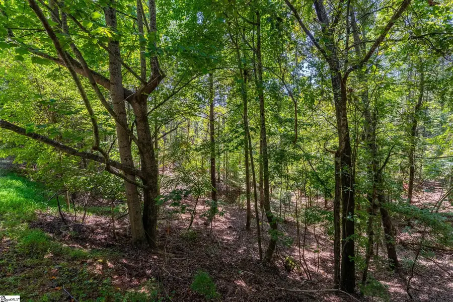 111 Sweetshrub Way, Sunset, SC 29685 - #2