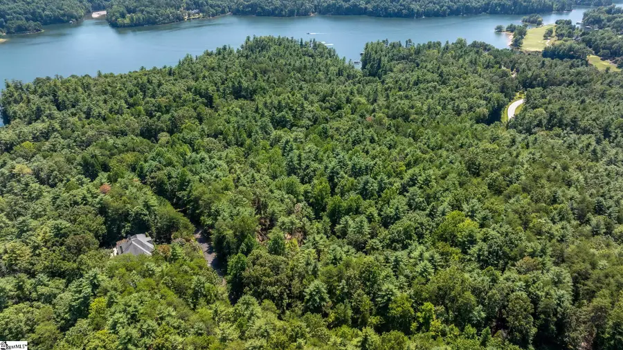 111 Sweetshrub Way, Sunset, SC 29685 - #3