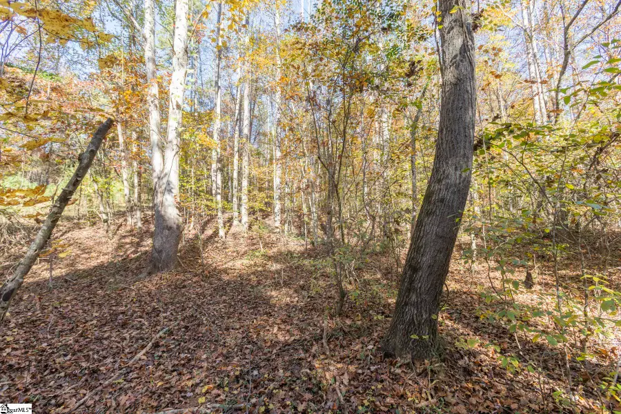 Fishers Cove Road, Fair Play, SC 29643 - #3