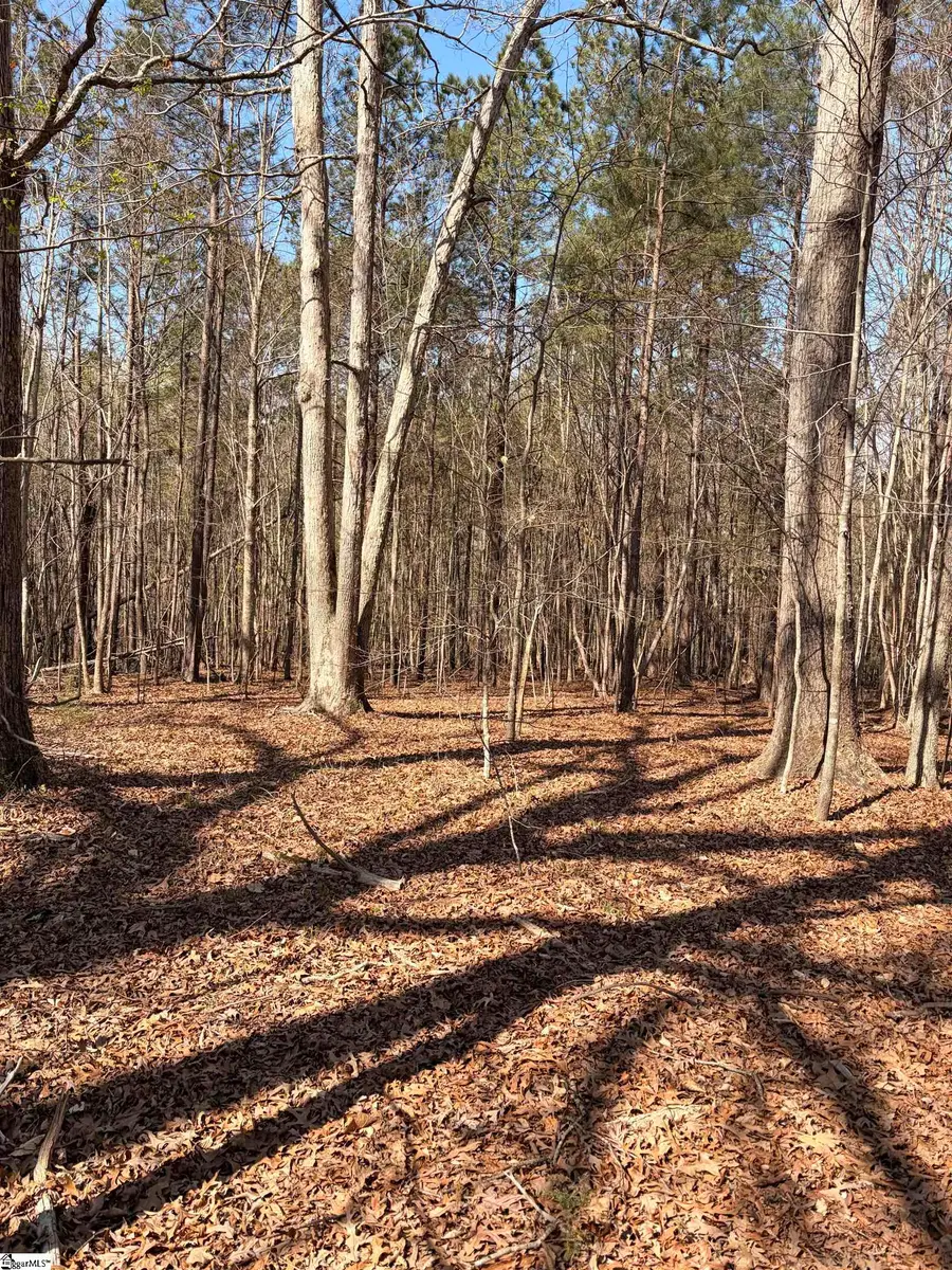 00 Elizabeth Street, Clinton, SC 29325 - #2