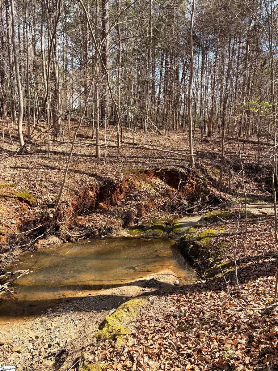 00 Elizabeth Street, Clinton, SC 29325 - #3