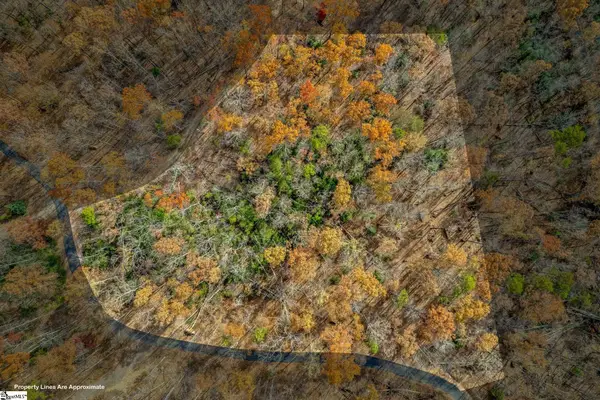 45 Danna View Court, Marietta, SC 29661