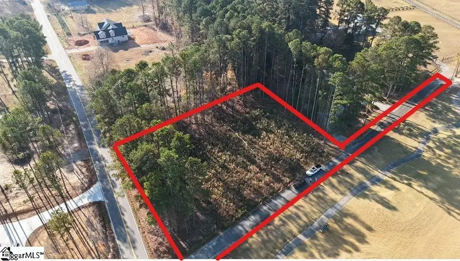 0 New Cut Road, Campobello, SC 29322 - #2