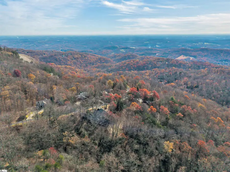 20 Moccasin Flower Trail, Landrum, SC 29356 - #2