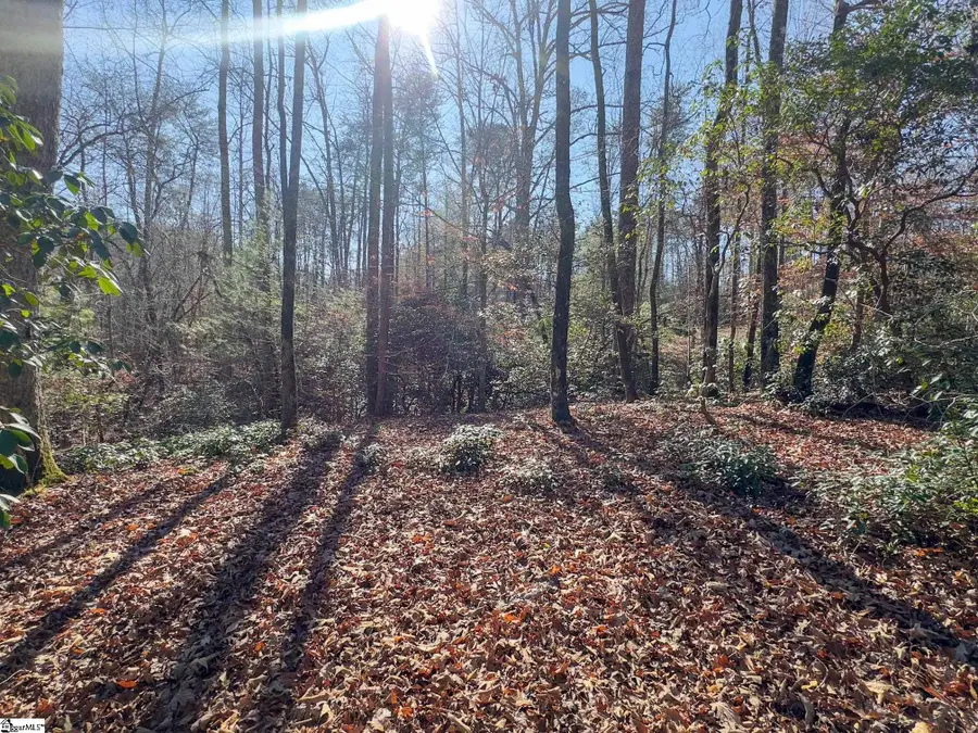 912 Hidden Hollow Trail, Travelers Rest, SC 29690 - #2