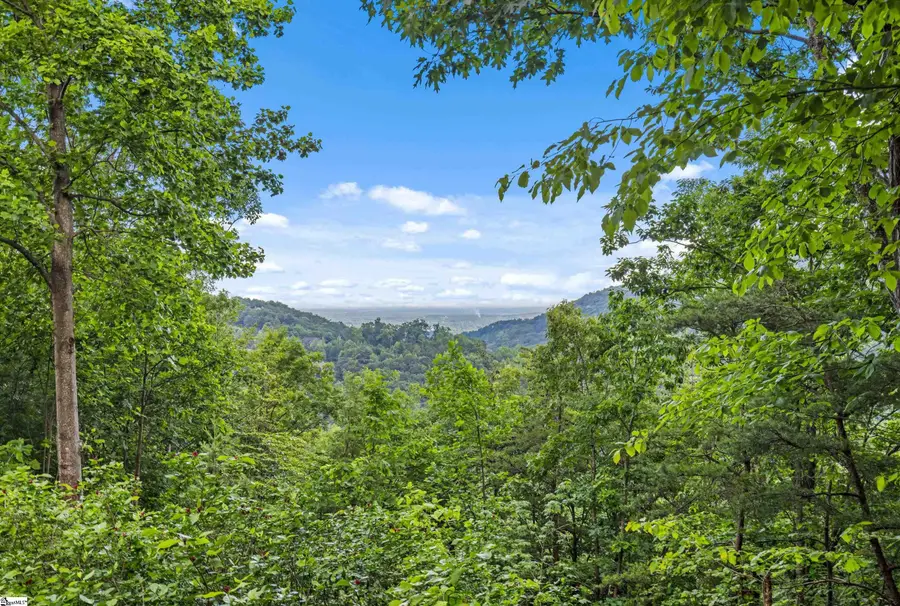 214 Craggy Rock Lane, Landrum, SC 29356 - #2