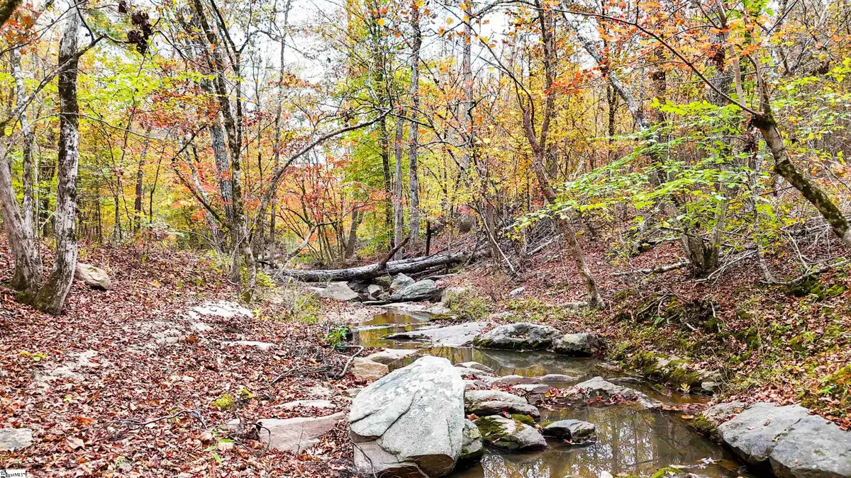 0 Sulpher Springs Road, Waterloo, SC 29384 - #1