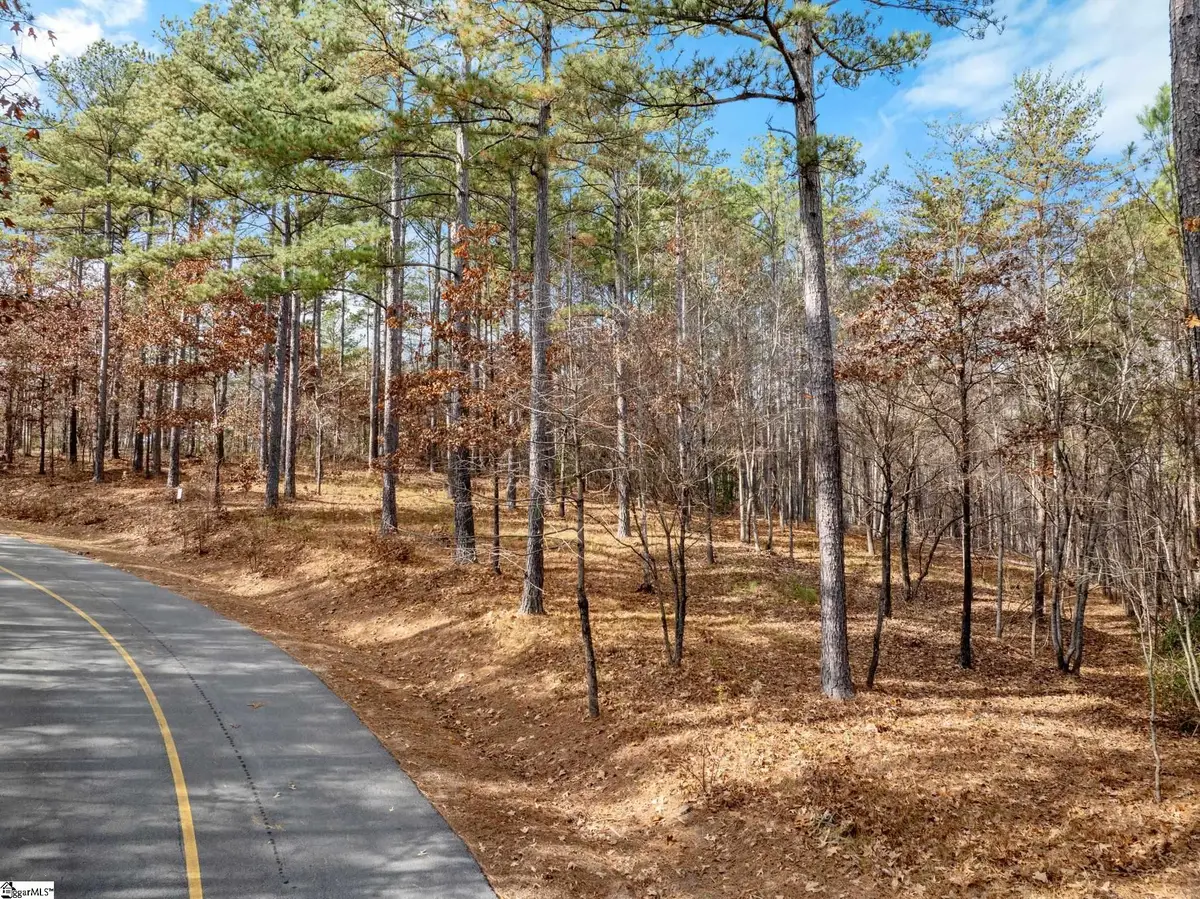 311 Golden Bear Drive, Sunset, SC 29685 - #1