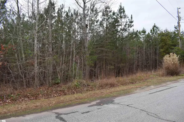 Goforth Road, Landrum, SC 29356