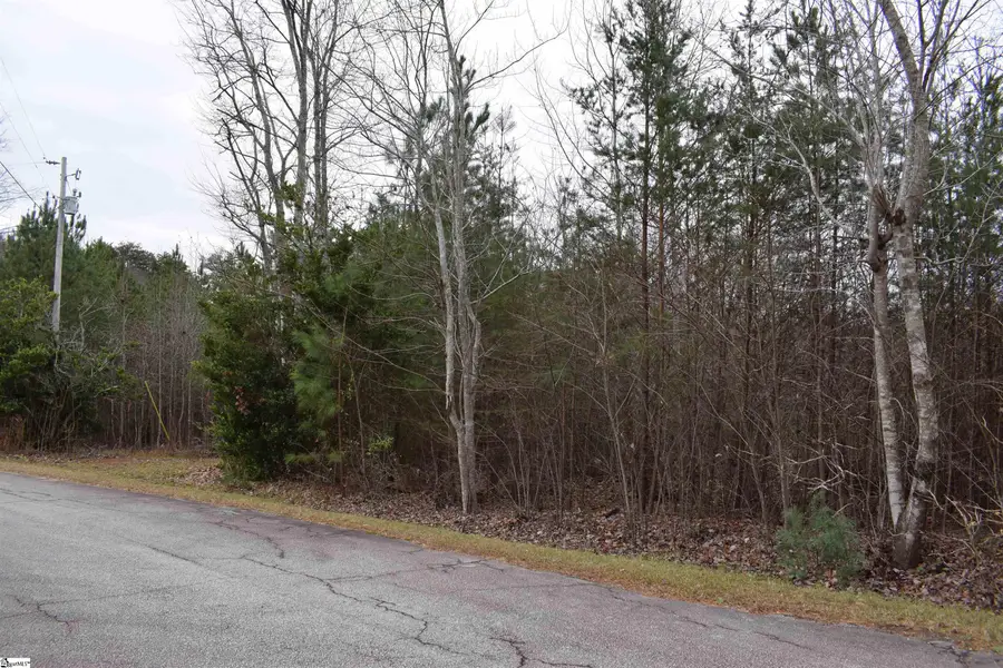 Goforth Road, Landrum, SC 29356 - #3