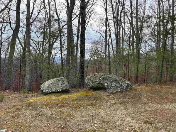 633 Plumley Summit Road, Landrum, SC 29356