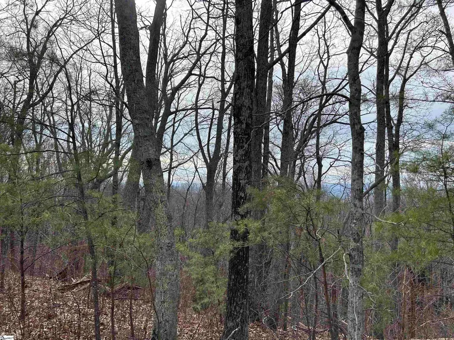 633 Plumley Summit Road, Landrum, SC 29356 - #2