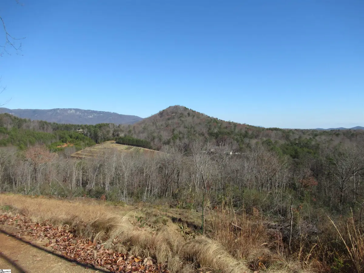 Tracts 34,35,36 Curts Way, Cleveland, SC 29635 - #1