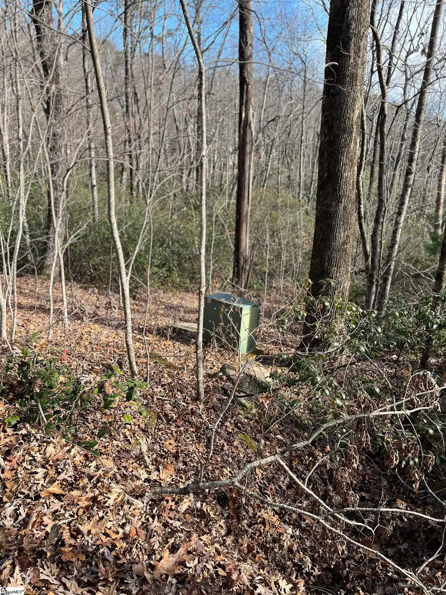 TBD Woodbine Road, Cleveland, SC 29635 - #3