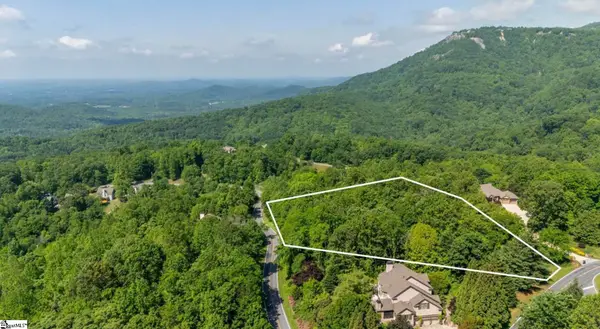 33 & 34 Raptor Way, Landrum, SC 29635-6