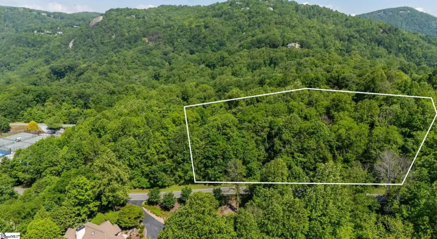 33 & 34 Raptor Way, Landrum, SC 29635-6 - #2