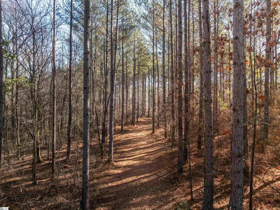 09 Mill Pine Road, Liberty, SC 29657 - #3