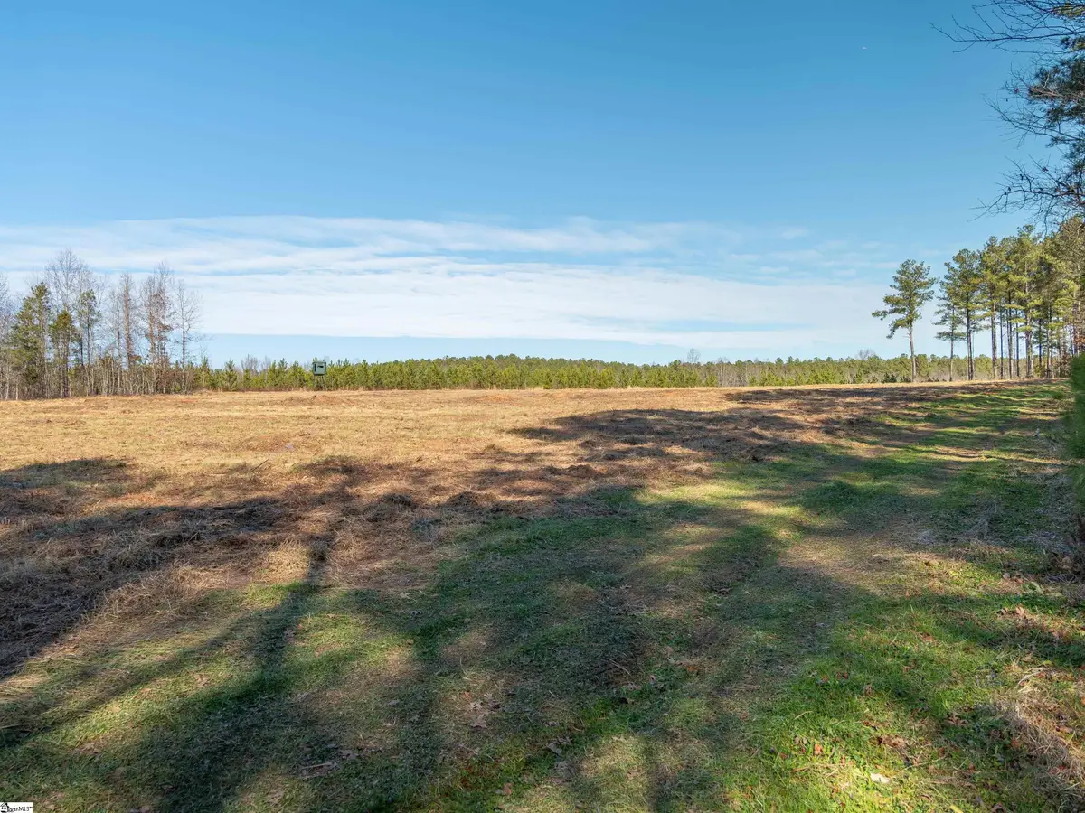 010 Mill Pine Road, Liberty, SC 29657 - #1