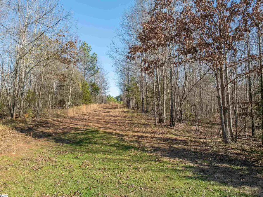 010 Mill Pine Road, Liberty, SC 29657 - #3
