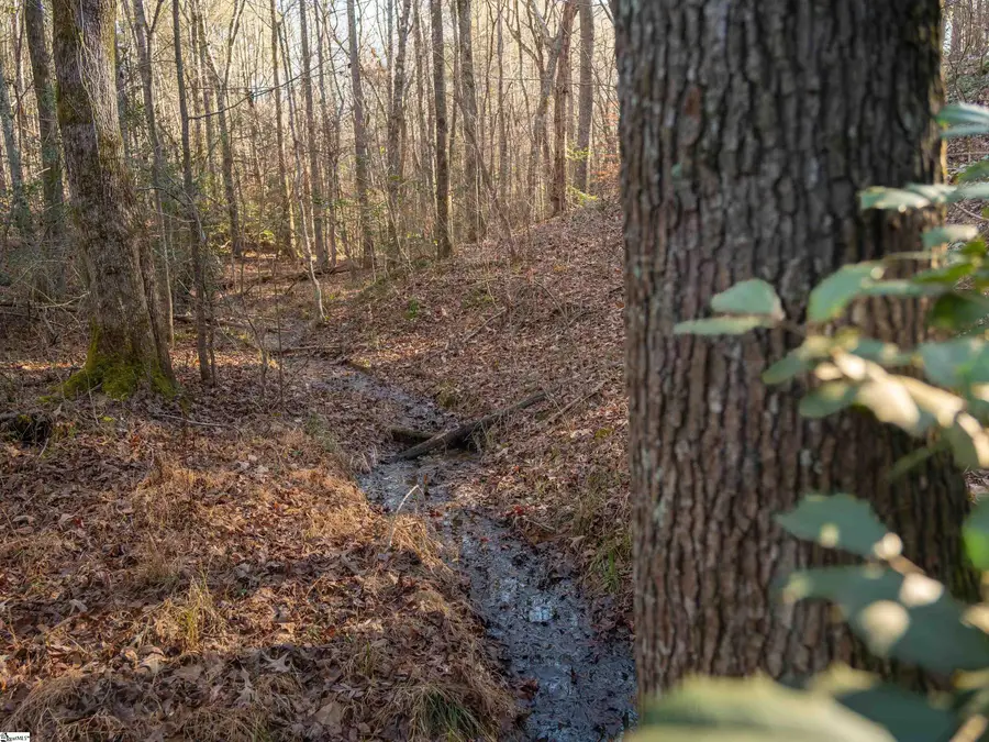 03 Mill Pine Road, Liberty, SC 29657 - #3