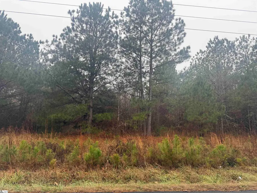 000 Riverfork Road, Waterloo, SC 29384 - #2