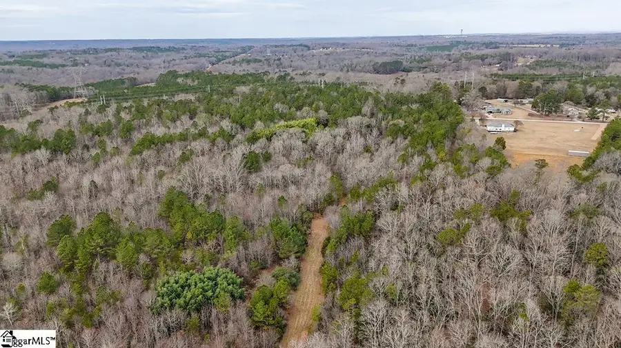 00 Painter Road, Pelzer, SC 29669 - #3