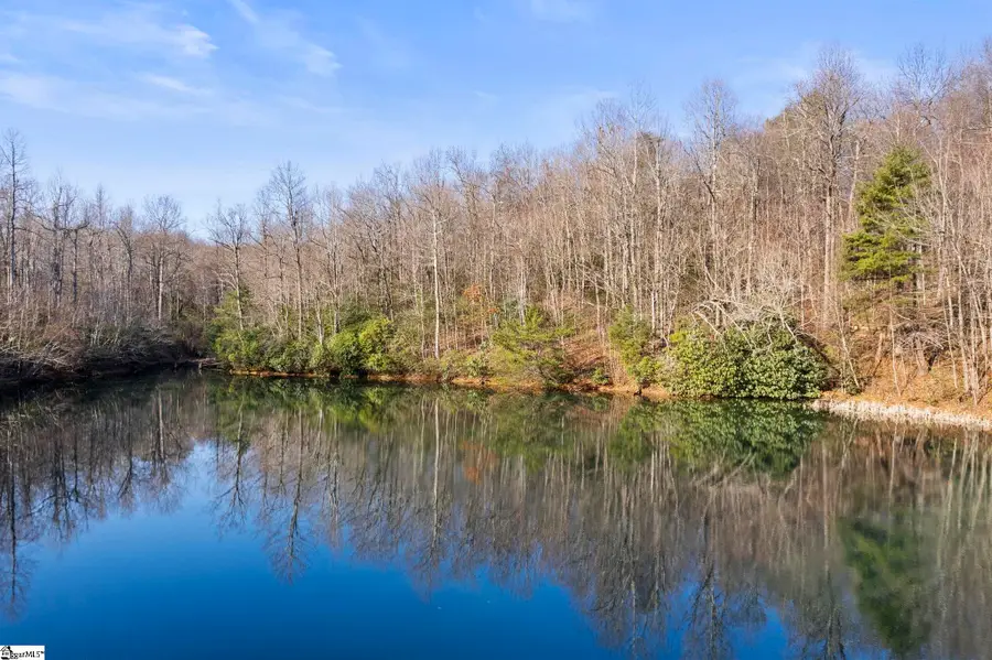 10 Rhetts Ridge, Zirconia, NC 28790 - #3