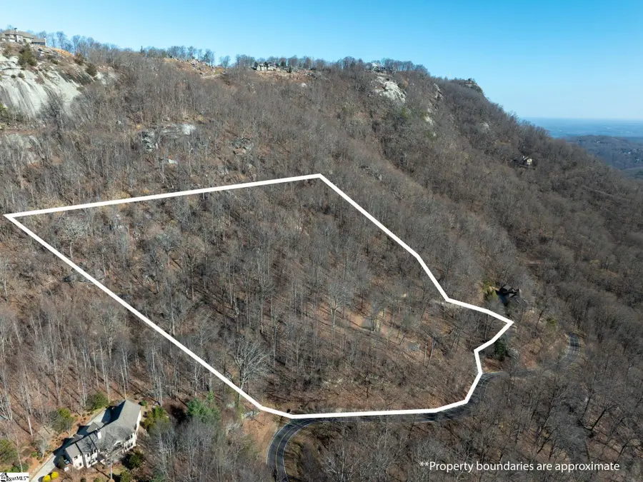 225 Lost Trail Drive, Landrum, SC 29356 - #2