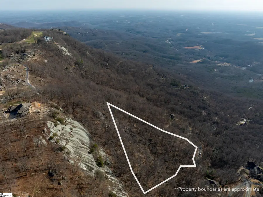225 Lost Trail Drive, Landrum, SC 29356 - #3