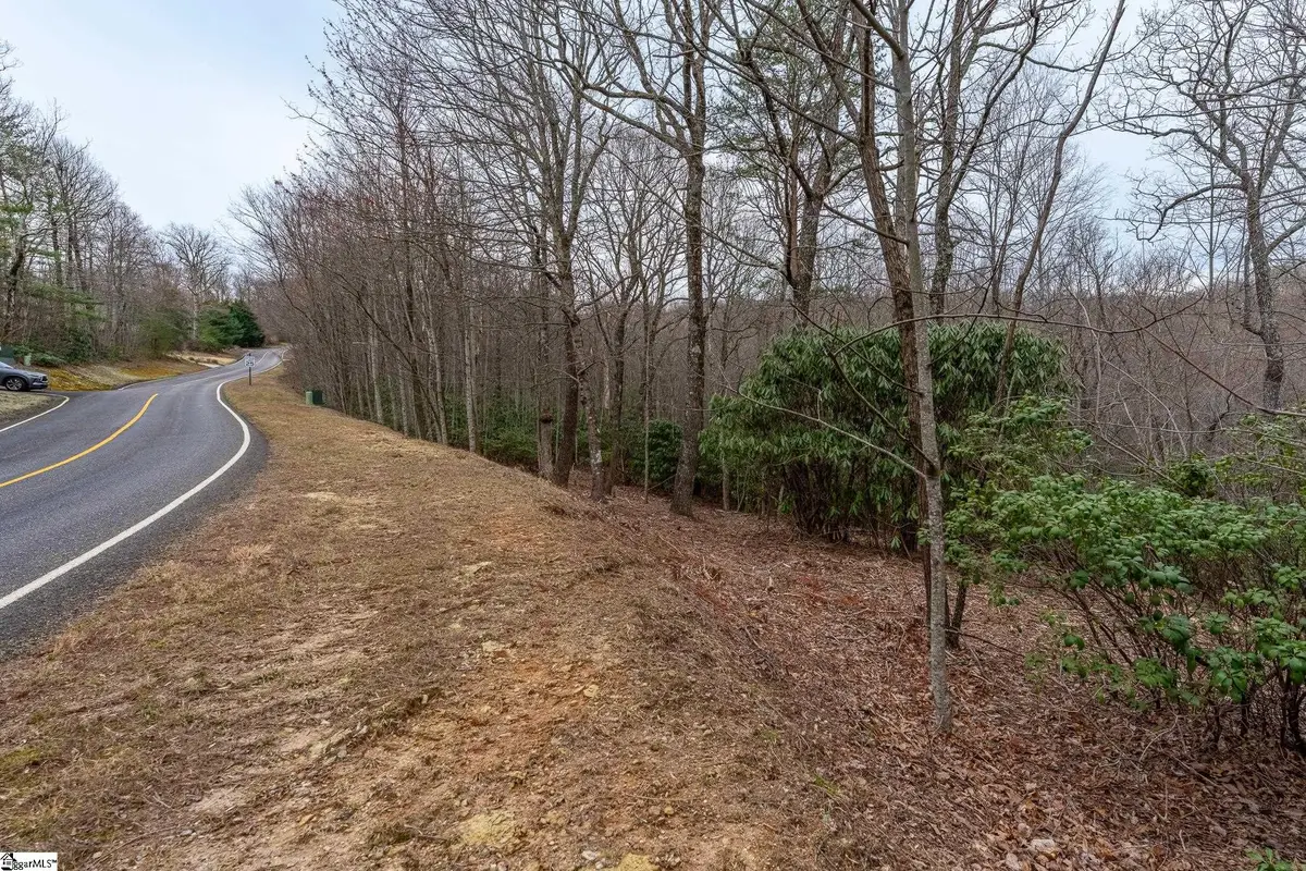 24 Blazing Star Trail, Landrum, SC 29356-3329 - #1