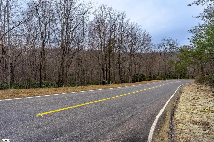 24 Blazing Star Trail, Landrum, SC 29356-3329 - #2