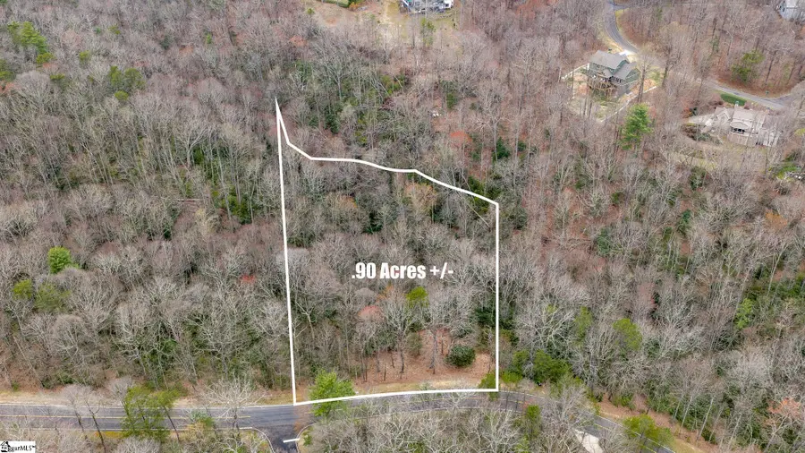 24 Blazing Star Trail, Landrum, SC 29356-3329 - #3