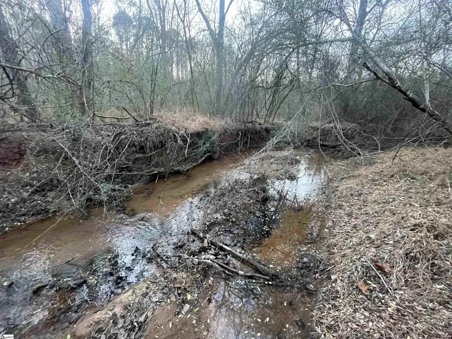 Hwy 221 N Greenwood Road, Laurens, SC 20360-0000 - #2