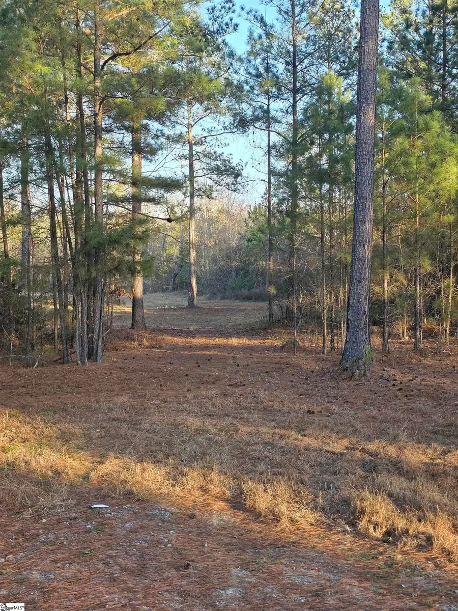 506 Trinity Church Road, Laurens, SC 29360 - #3