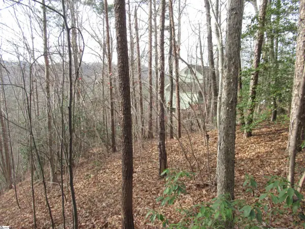Lone Rock Court #Lot 10 Whispering Falls, Pickens, SC 29671