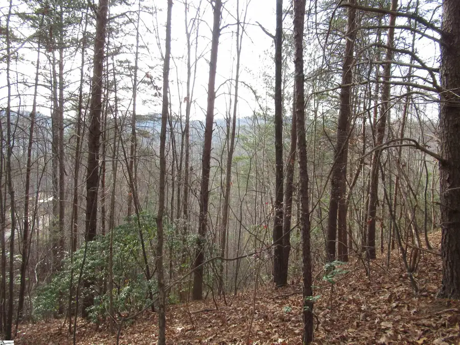 Lone Rock Court #Lot 10 Whispering Falls, Pickens, SC 29671 - #2