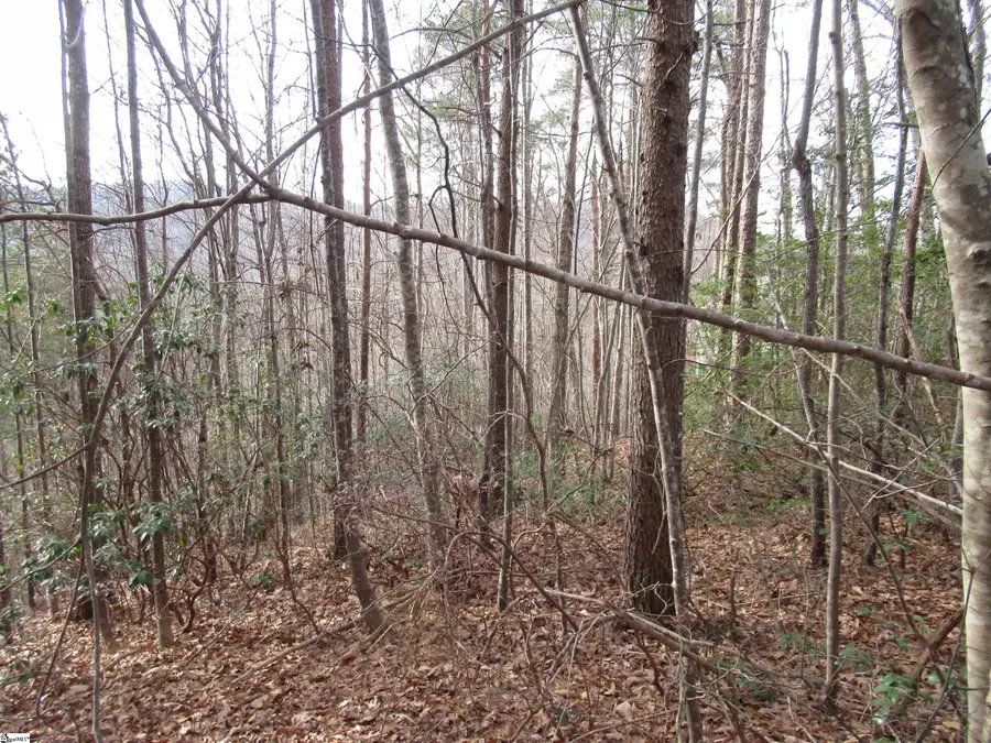 Lone Rock Court #Lot 10 Whispering Falls, Pickens, SC 29671 - #3