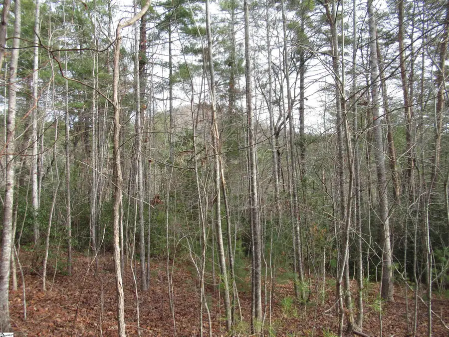 116 Fireside Lane, Pickens, SC 29671 - #2