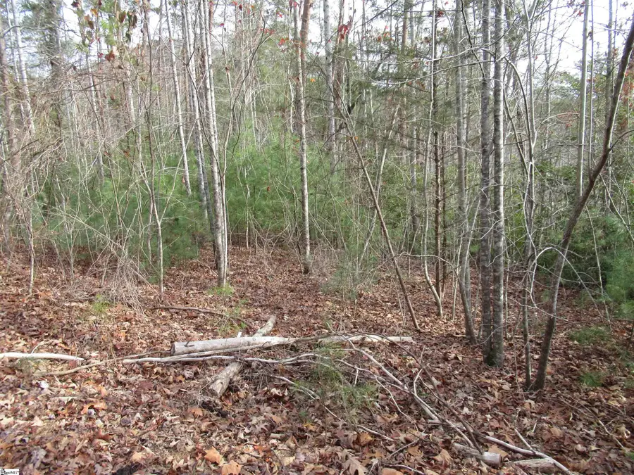 110 Fireside Lane, Pickens, SC 29671 - #3