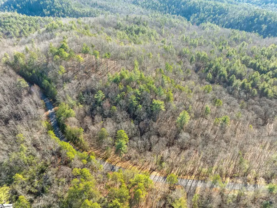 163 Eastatoe Parkway, Sunset, SC 29685 - #3