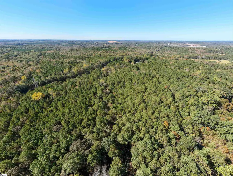 123 Kirby Green Road, Pelzer, SC 29669 - #2