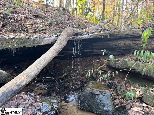 230 Lakeside Drive, Six Mile, SC 29682 - #3