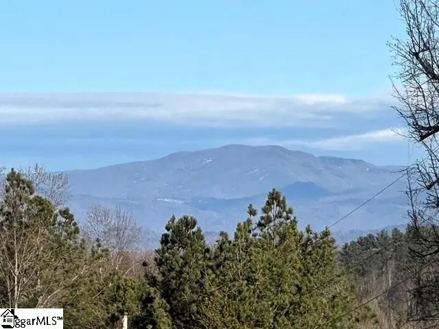 Lakeside Drive, Six Mile, SC 29682 - #2