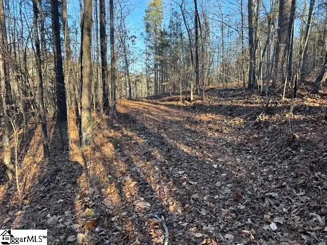 Lakeside Drive, Six Mile, SC 29682 - #3