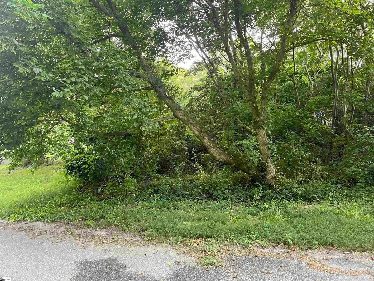 Railroad Street, Spartanburg, SC 29307 - #1