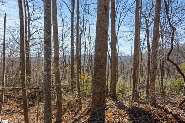 0 Dogwood Drive, Lake Lure, NC 28746
