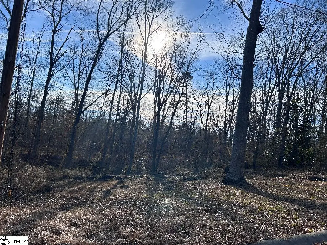 100 Lakeview Drive, Fountain Inn, SC 29644 - #1